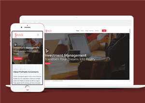 股票金融分析团队HTML网页模板下载 - 项目资源网
