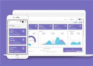 手机app运营数据统计后台模板下载 - 项目资源网