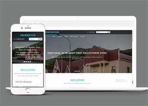 宽屏国外别墅展示类网站模板 - 项目资源网