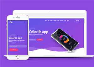 宽屏APP项目展示响应式网页模板下载 - 项目资源网