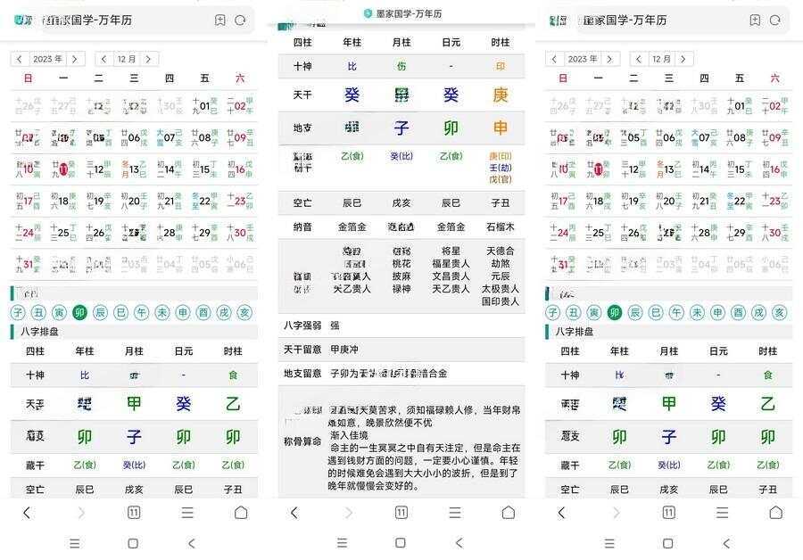 九龙道长同款万年历源码 - 项目资源网