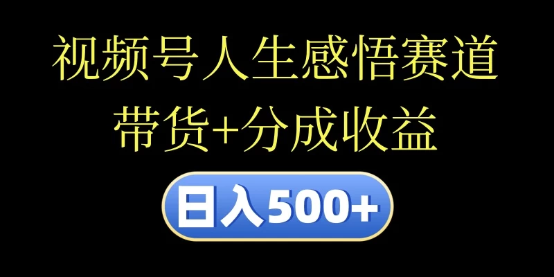 视频号人生感悟赛道,带货+分成收益,日入500+,10分钟做一个视频 - 项目资源网