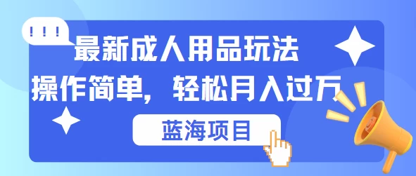 最新成人用品项目玩法,操作简单,蓝海项目轻松月入过万 - 项目资源网
