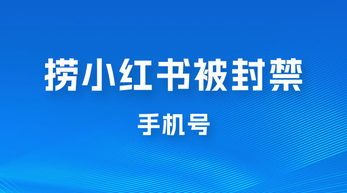 捞小红书被封禁手机号，小红书被封号禁言账号手机换绑 - 项目资源网
