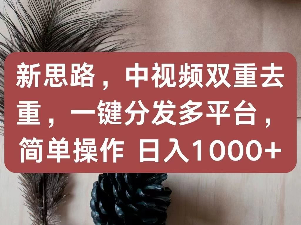 新思路，中视频双重去重，一键分发多平台，简单操作，日入1000+！快来试试吧！ - 项目资源网
