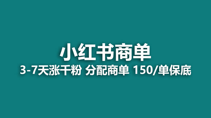 2023最强蓝海项目，小红书商单项目，没有之一 - 项目资源网
