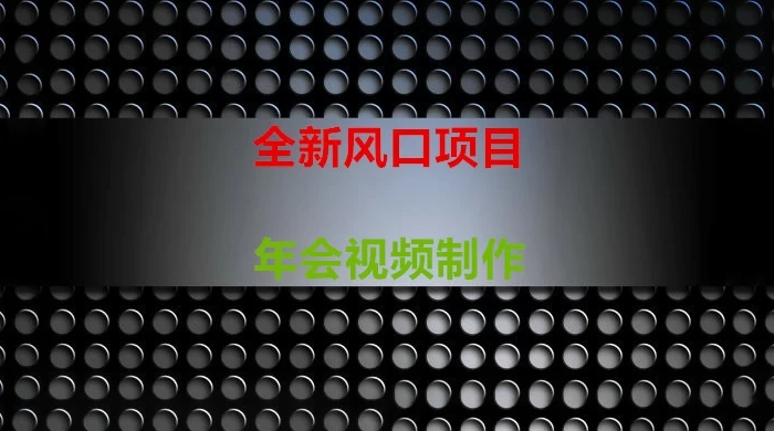 年会视频制作项目,全新风口 - 项目资源网