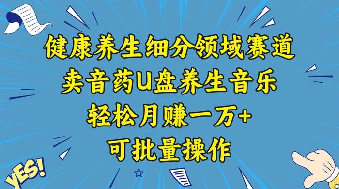 健康养生细分领域赛道,卖音药U盘养生音乐,轻松月赚一万+,可批量操作 - 项目资源网