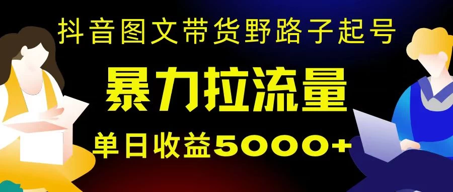 抖音图文带货暴力起号,单日收益 5000+,野路子玩法,简单易上手,一部手机即可 - 项目资源网