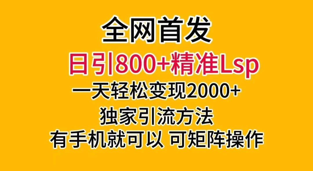 日引 800+ 精准老色批,一天变现 2000+,独家引流方法,可矩阵操作,月入 5W+ - 项目资源网